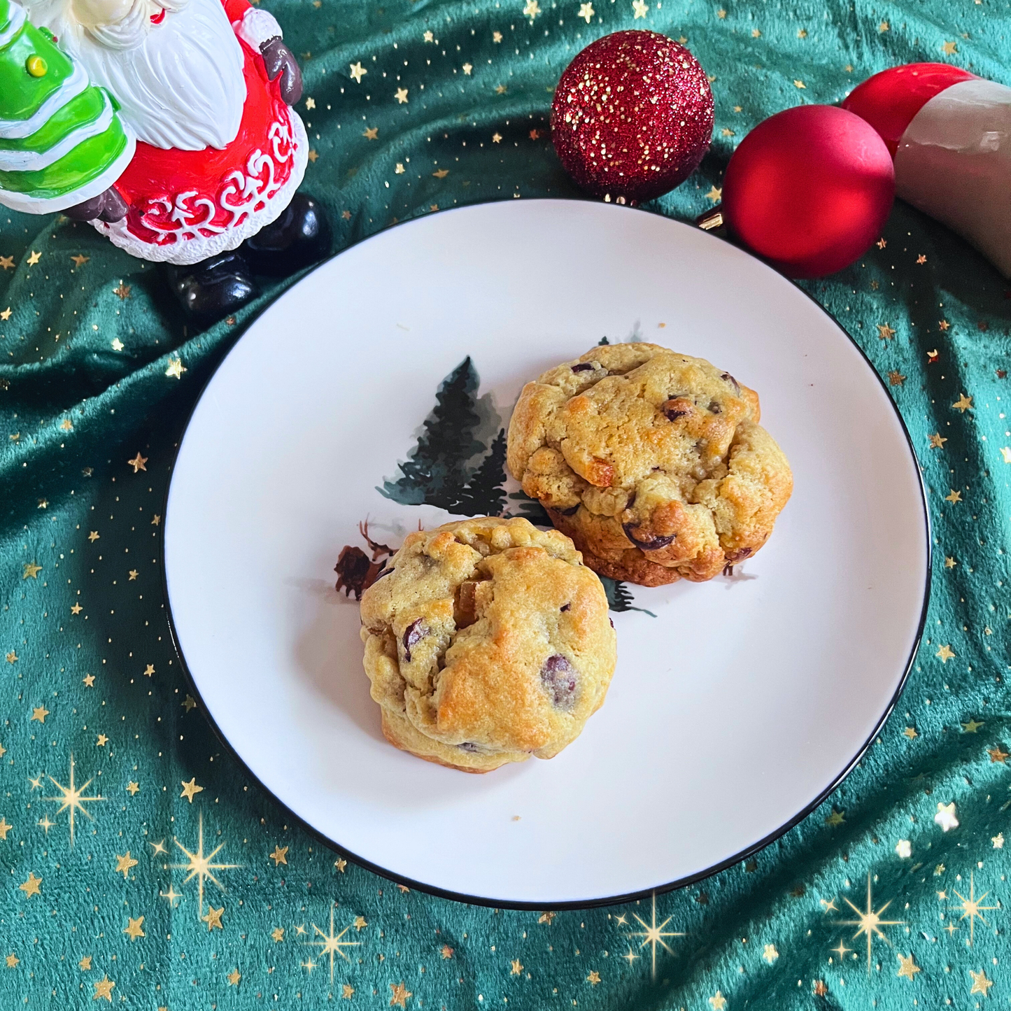 Cookie l'Oranger en voyage