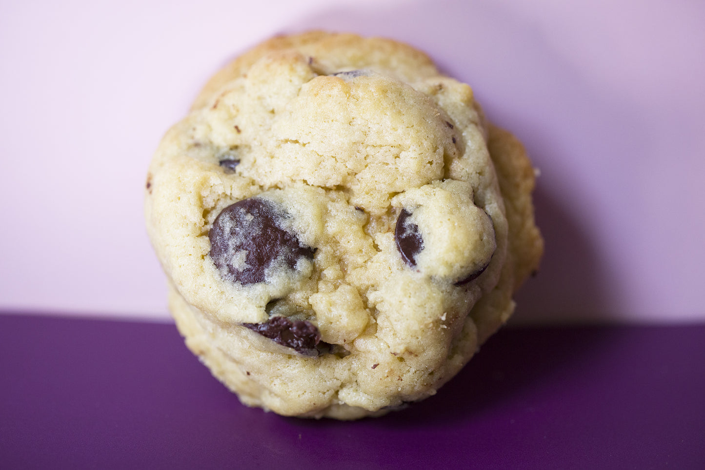 Pionnier vanille chocolat noir