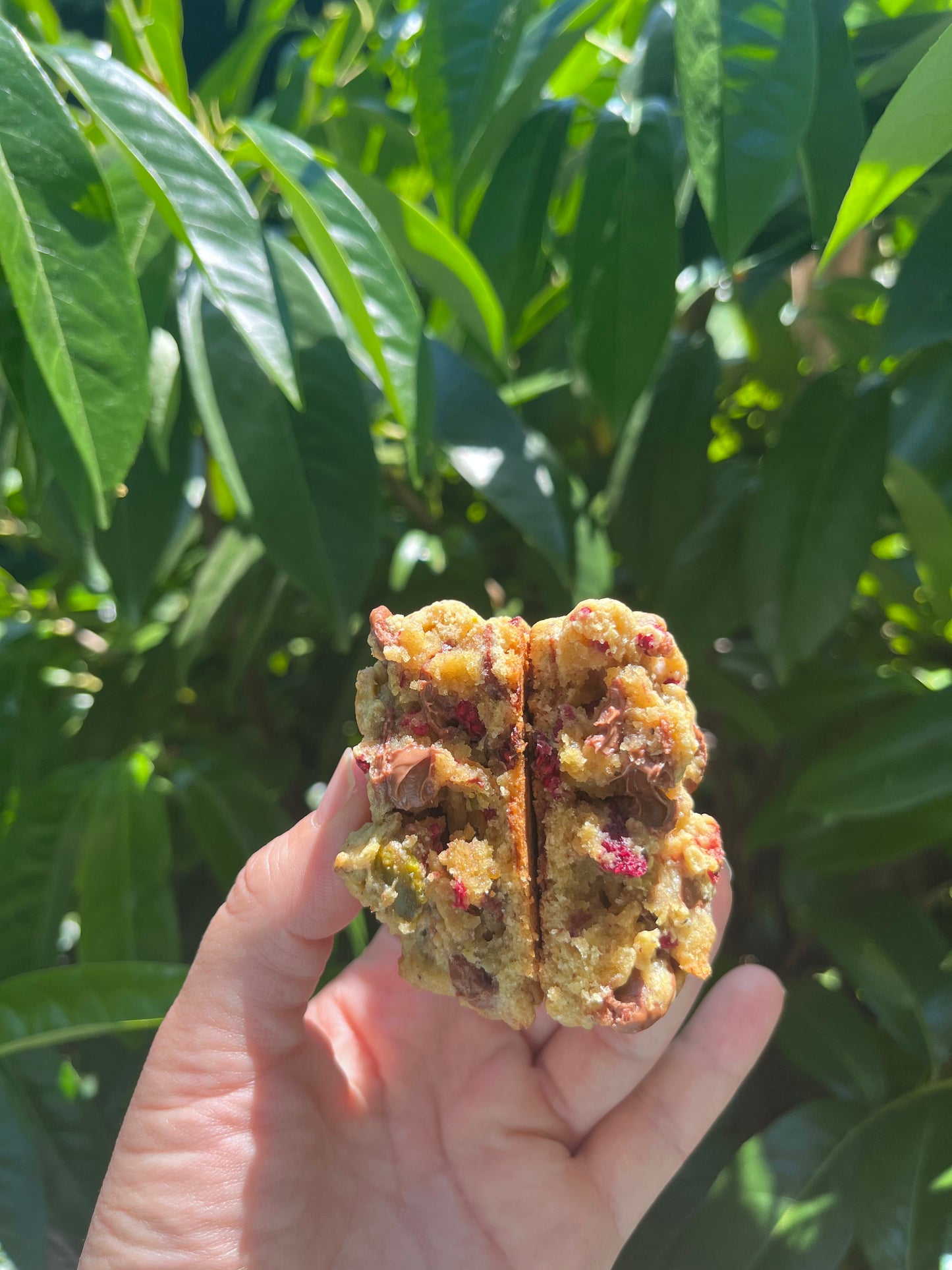 Aventure pistache framboise chocolat