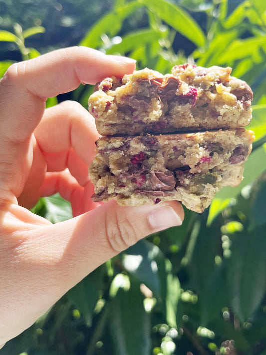 Aventure pistache framboise chocolat